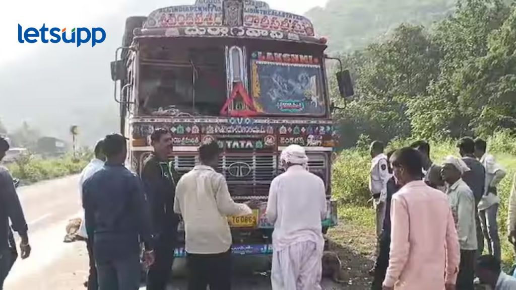 मोठा अपघात! नंदुरबारच्या घाटात भरधाव ट्रक शिरला मेंढ्यांच्या कळपात, 100 हून अधिक मेंढ्यांचा मृत्यू
