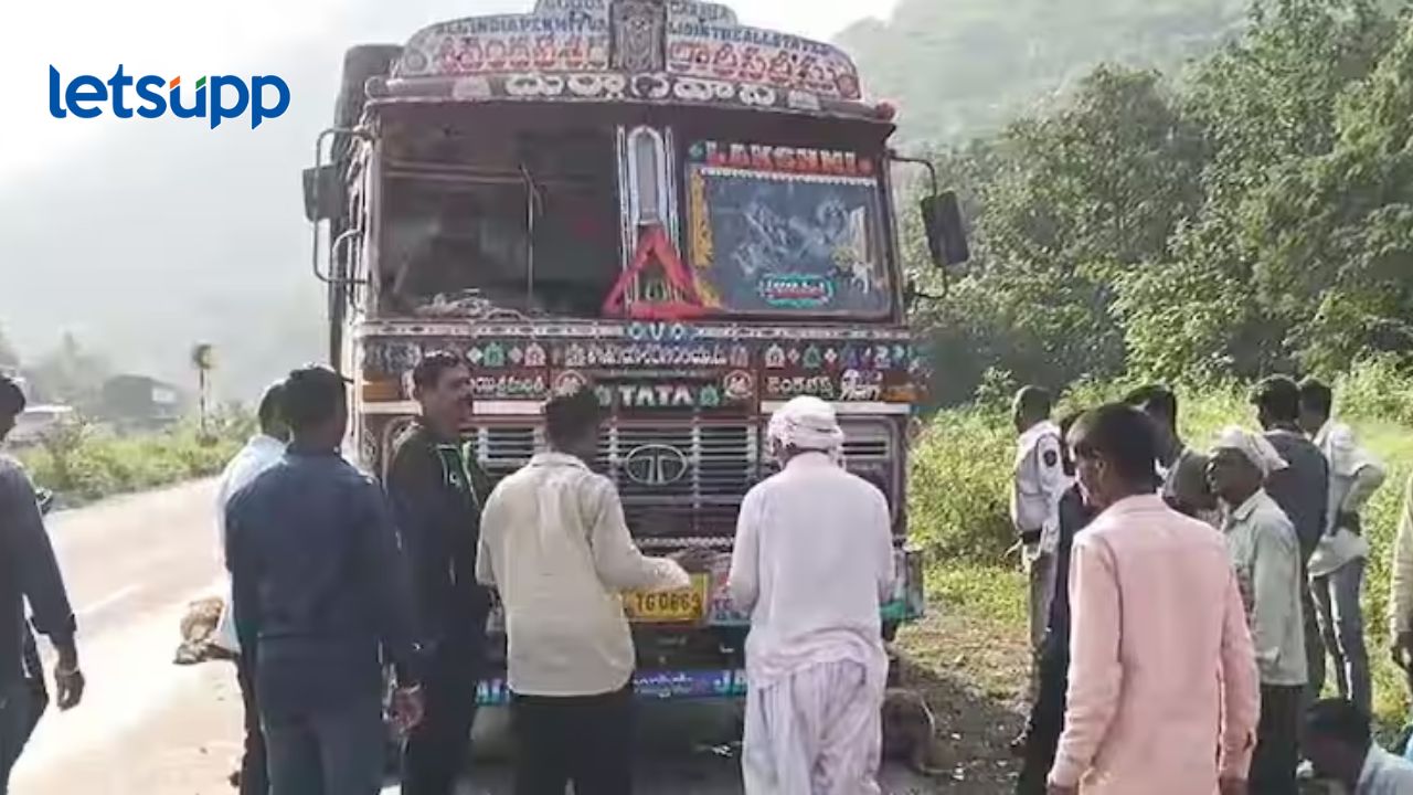 मोठा अपघात! नंदुरबारच्या घाटात भरधाव ट्रक शिरला मेंढ्यांच्या कळपात, 100 हून अधिक मेंढ्यांचा मृत्यू मोठा अपघात! नंदुरबारच्या घाटात भरधाव ट्रक शिरला मेंढ्यांच्या कळपात, 100 हून अधिक मेंढ्यांचा मृत्यू