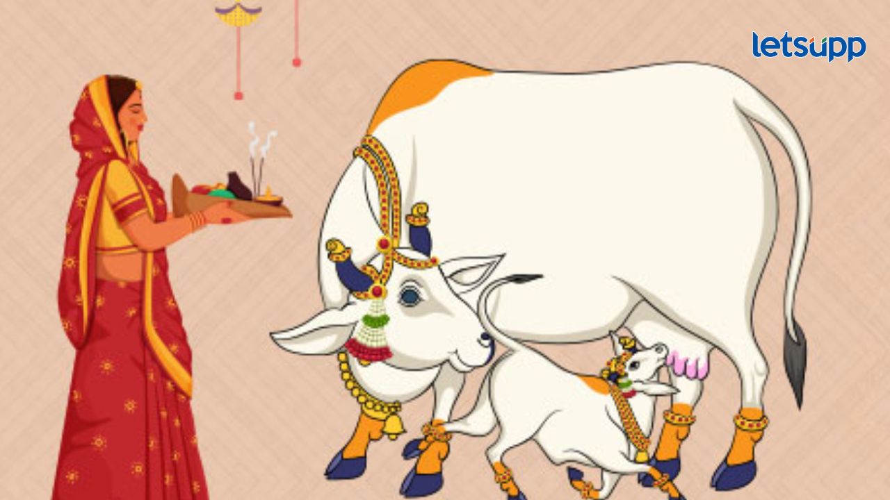 Diwali 2024 : वसुबारस म्हणजे काय?, हा सण का साजरा करतात?, यावर्षी कुठला आहे शुभ मुहूर्त? Diwali 2024 : वसुबारस म्हणजे काय?, हा सण का साजरा करतात?, यावर्षी कुठला आहे शुभ मुहूर्त?