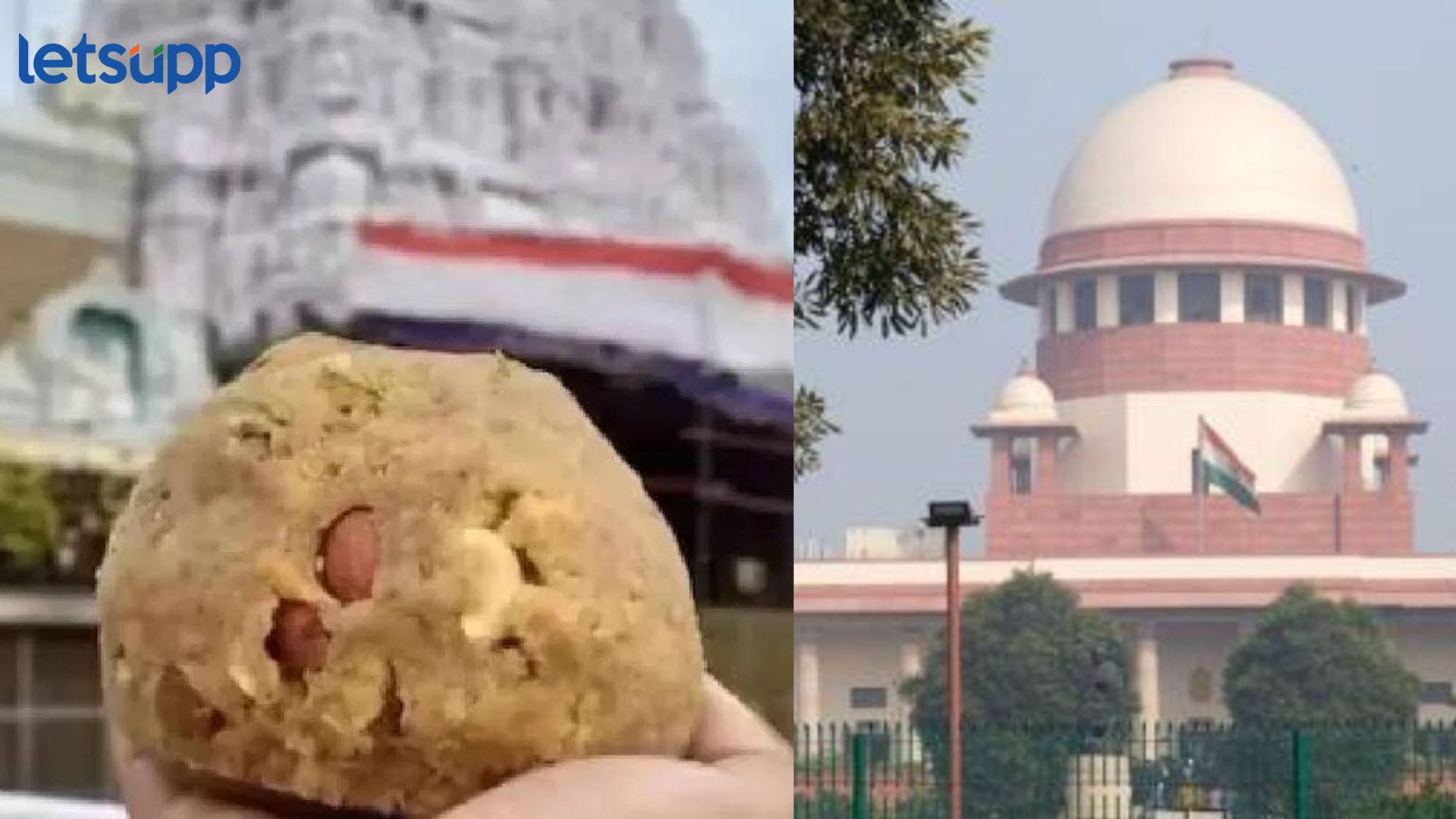 मोठी बातमी! तिरुपती प्रसाद प्रकरण, ‘भेसळयुक्त तुपा’बाबत एसआयटीच्या तपासाला स्थगिती Tirupati Laddu SIT Investigation : मोठी बातमी! तिरुपती प्रसाद प्रकरण, 'भेसळयुक्त तुपा'बाबत एसआयटीच्या तपासाला स्थगिती