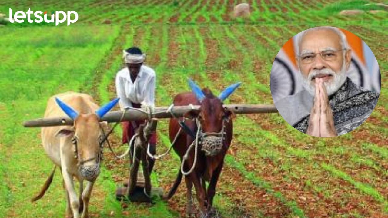 शेतकऱ्यांनाही दिवाळीचा बोनस! रब्बी हंगामातील पिकांच्या हमीभावात वाढ PM Kisan FPO Scheme