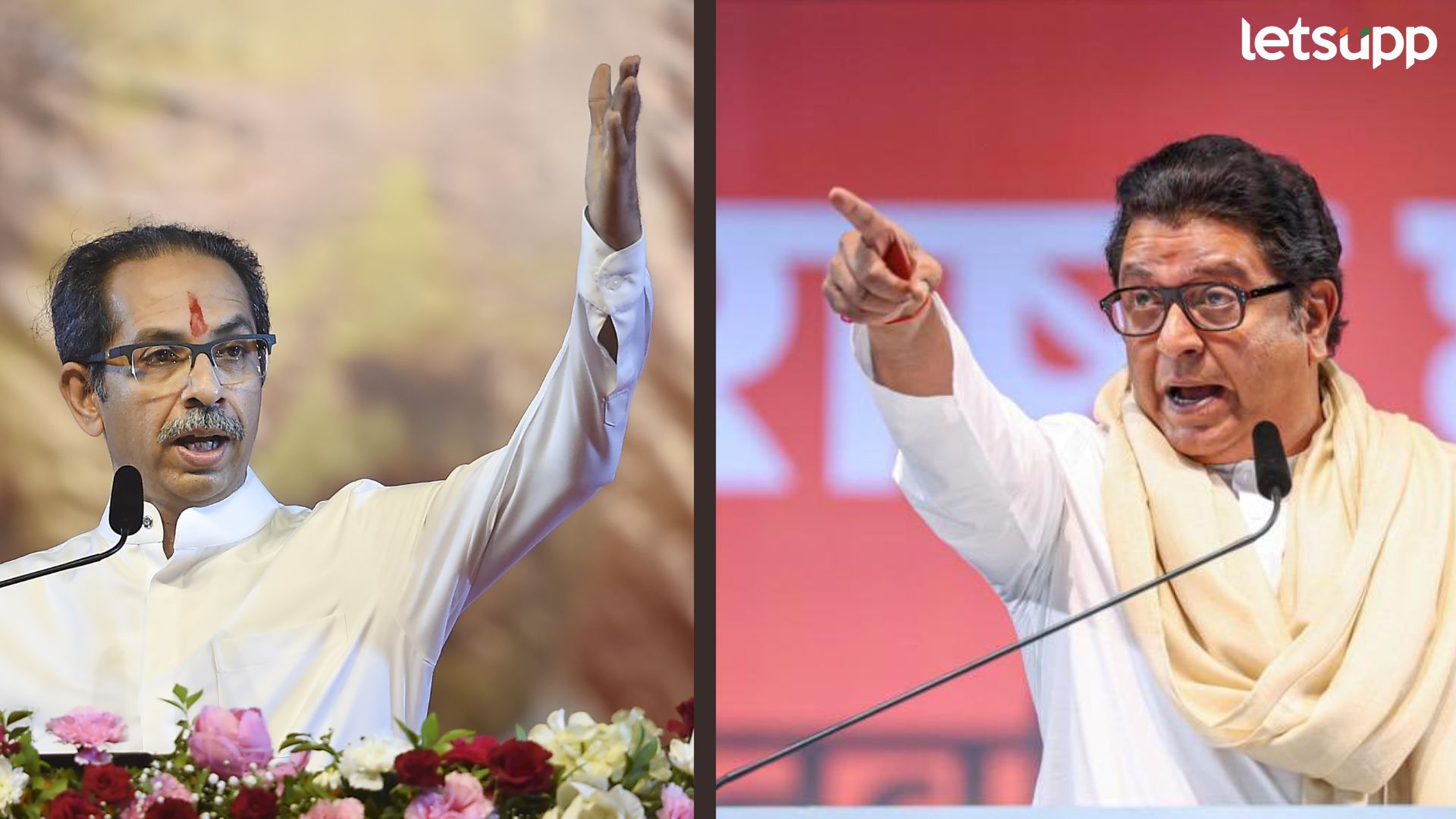 राज ठाकरे म्हणजे राजकीय सस्तन प्राणी; टीकेला प्रत्त्युत्तर देताना ठाकरेंच्या वाघीणीचा वर्मी घाव