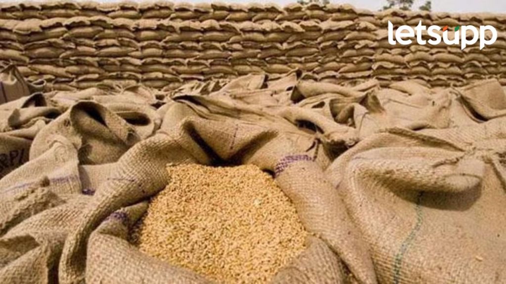 Dhan Rate: धान पिकाला हंगामाच्या सुरुवातीलाच विक्रमी दर; 'ए' ग्रेड’ला 2700 रुपयांचा दर