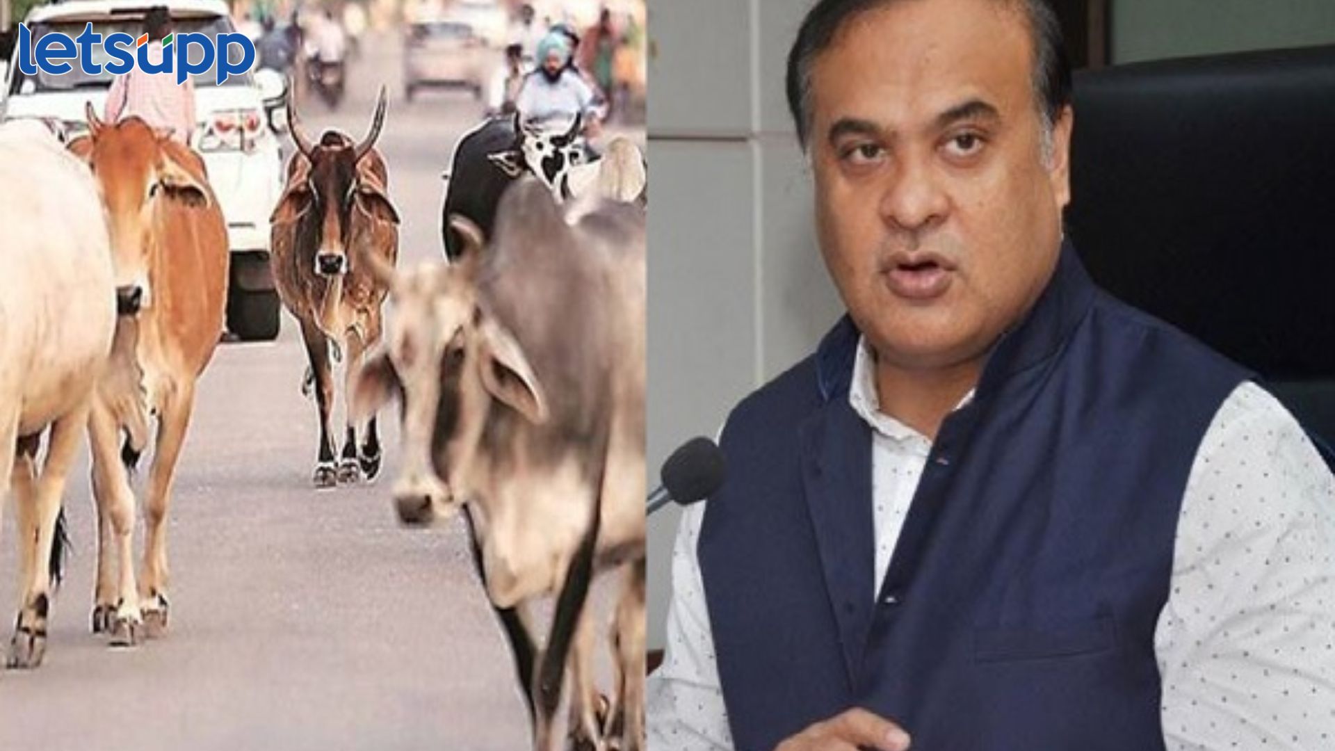 Assam Beef Ban : मोठी बातमी! हॉटेल, रेस्टॉरंट आणि सार्वजनिक ठिकाणी गोमांस खाण्यावर बंदी Assam Beef Ban