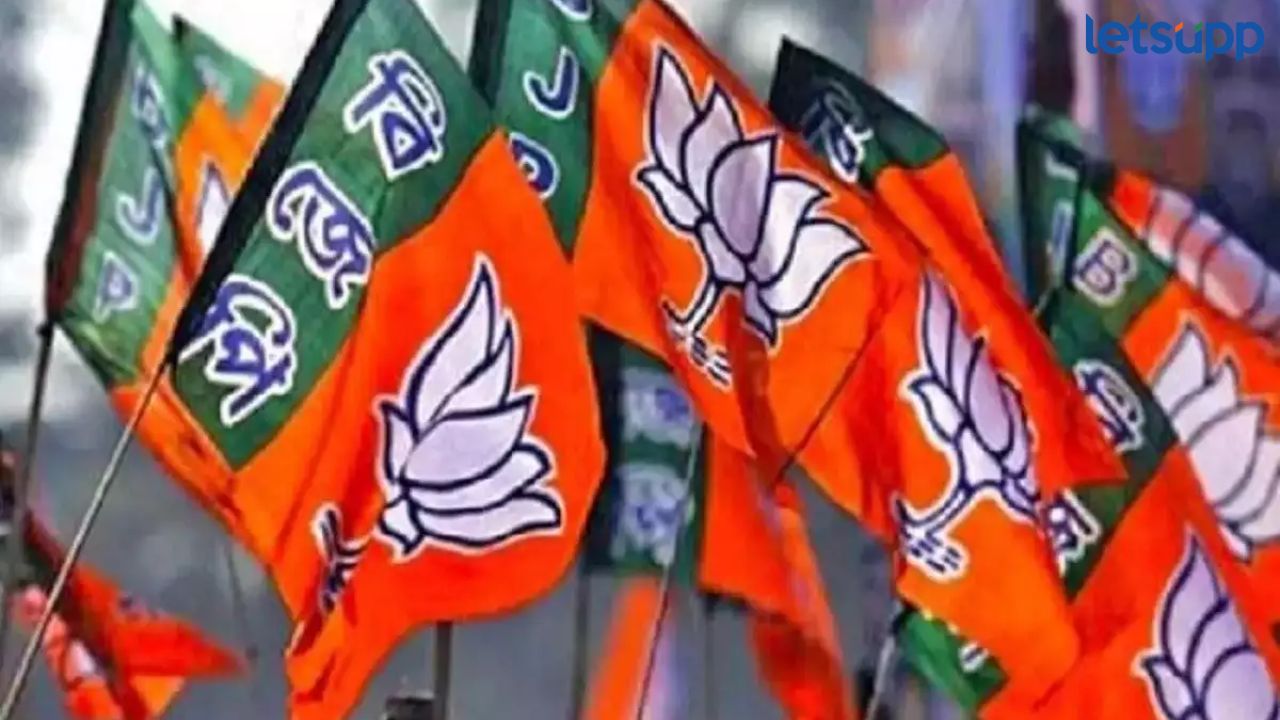 मुंबईसाठी भाजप तयार! पदाधिकारी प्रभागाची घेणार खडानखडा माहिती; नेमके आदेश काय? Mumbai News