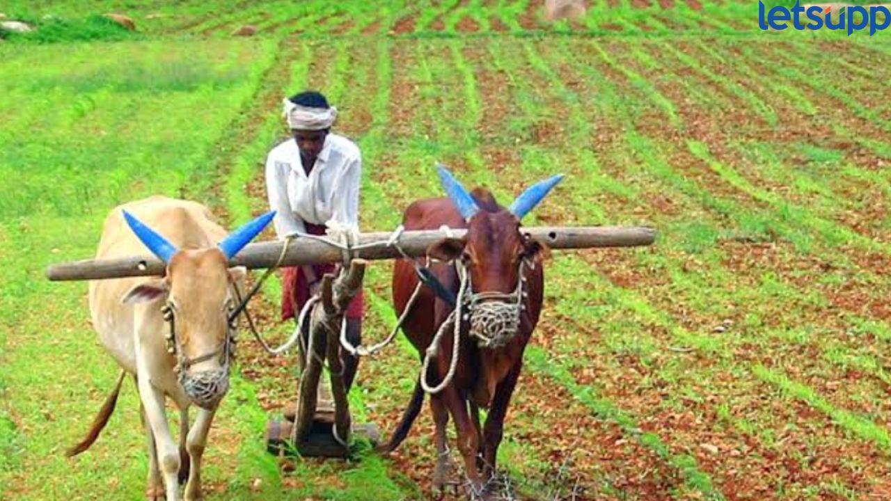 PM Kisan योजनेचा निधी वाढणार? 12 ऐवजी 15 हजार मिळणार, CM देवेंद्र फडणवीस नक्की काय म्हणाले? Maharashtra News