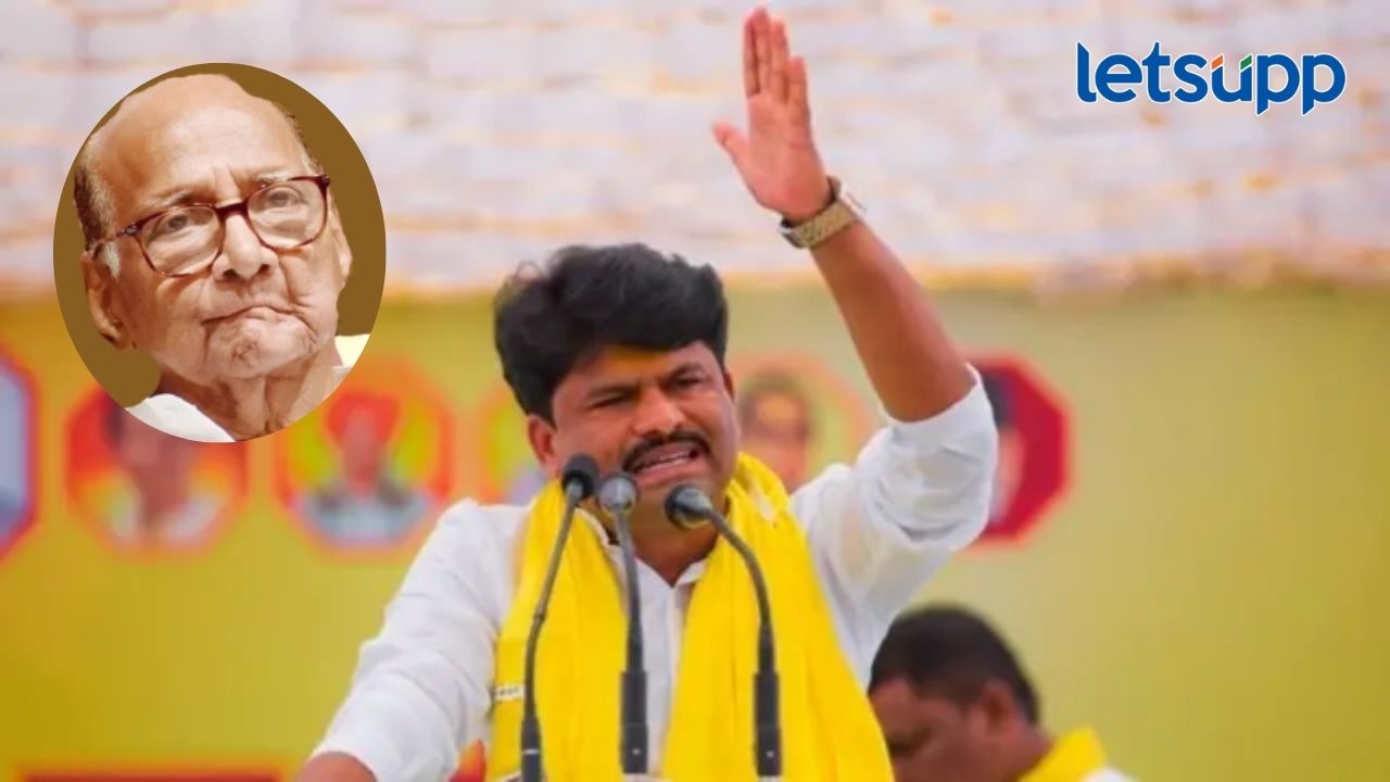 शरद पवार जन्म १०० शकुनी मेल्यावर झालाय; भाजप आमदार पडळकरांची पवारांवर घणाघाती टीका शरद पवार जन्म १०० शकुनी मेल्यावर झालाय; भाजप आमदार पडळकरांची पवारांवर घणाघाती टीका