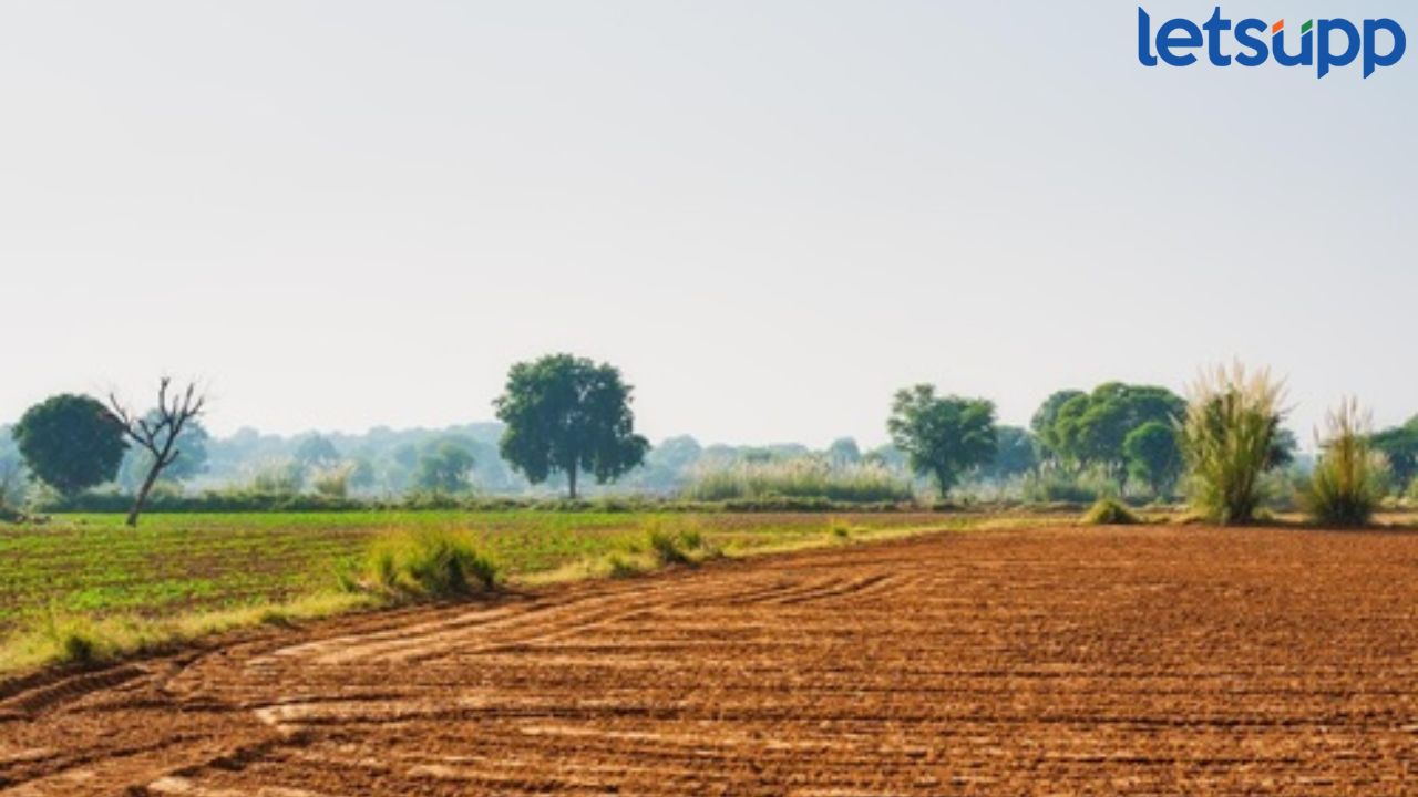 महाराष्ट्र वक्फ बोर्डाचा शेतकऱ्यांच्या 300 एकर जमिनीवर दावा, 103 जणांना पाठवली नोटीस Land
