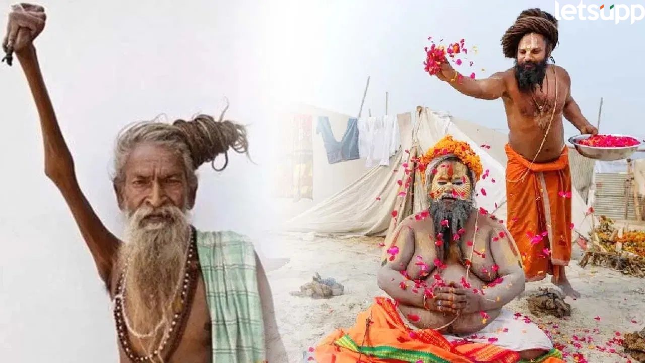 कोणी 30 किलोंचे रूद्राक्ष धारण केलेत, तर कोणी 32 वर्षांपासून विनाआंघोळीचं; महाकुंभात विविध प्रकारचे साधू Mahakumbh Baba
