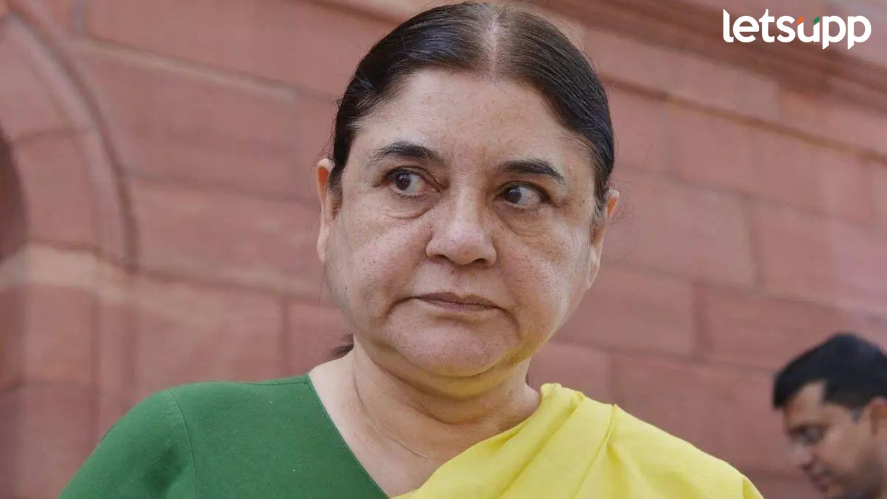 ‘मांसाहारी लोक देशद्रोही…’; पुण्यात मेनका गांधींचं धक्कादायक विधान Maneka Gandhi