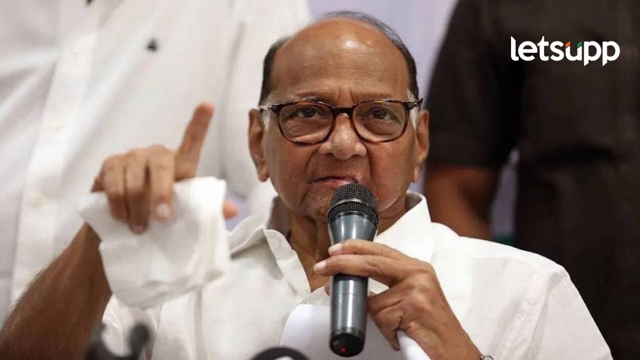राष्ट्रवादीचे खासदार महायुतीत जाणार?, किती खासदार फुटणार?, काय म्हणाले शरद पवार? राष्ट्रवादीचे खासदार महायुतीत जाणार?, किती खासदार फुटणार?, काय म्हणाले शरद पवार?
