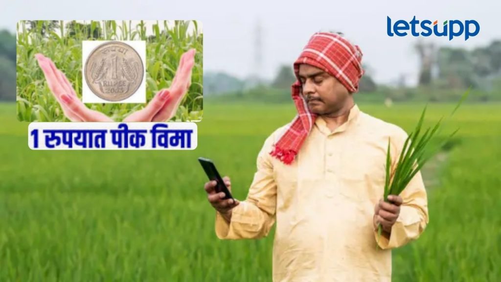 एक रुपयात पीक विमा योजना बंद होणार?, गैरव्यवहार झाल्याचं उघड; सरकार मोठा निर्यण घेणार