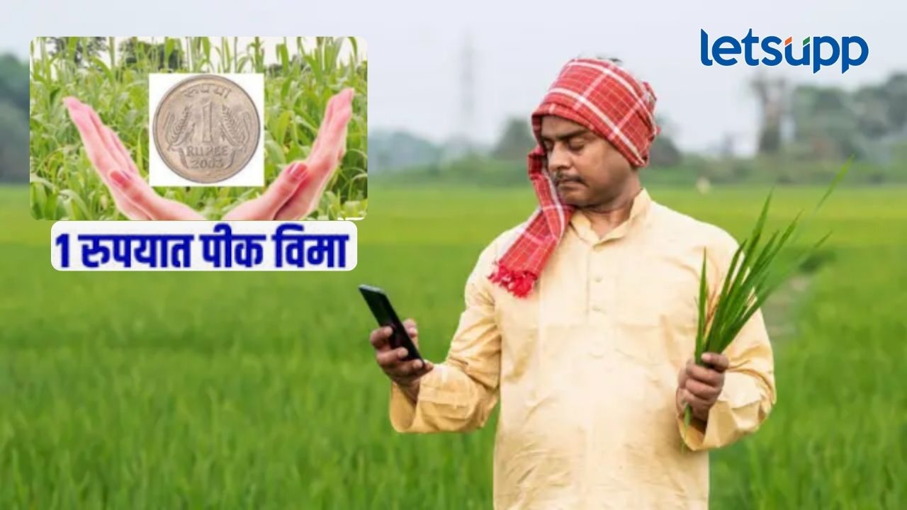 एक रुपयात पीक विमा योजना बंद होणार?, गैरव्यवहार झाल्याचं उघड; सरकार मोठा निर्यण घेणार एक रुपयात पीक विमा योजना बंद होणार?, गैरव्यवहार झाल्याचं उघड; सरकार मोठा निर्यण घेणार
