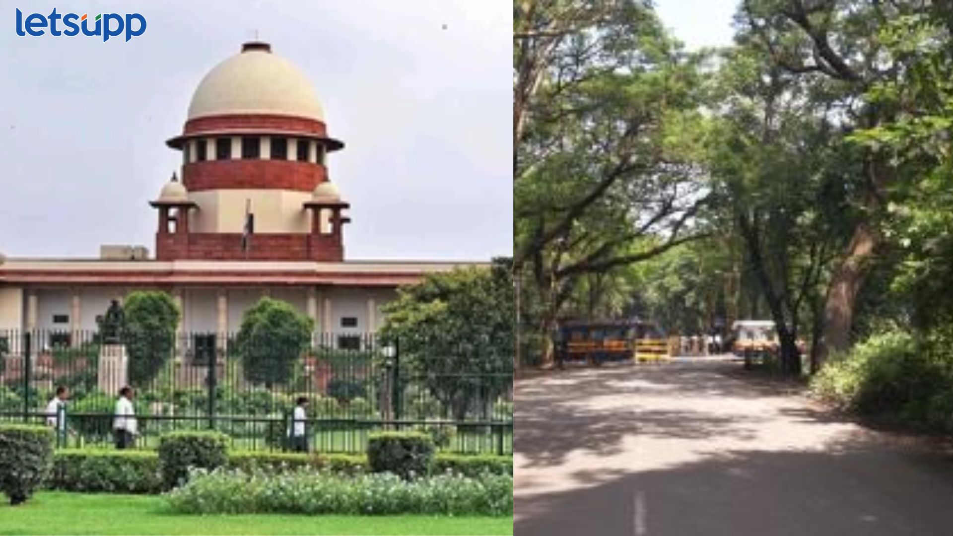 आरे कॉलनीतील झाडे तोडण्यापूर्वी आमची परवानगी घ्या; SC चे BMC ला कठोर निर्देश Supreme Court On Aarey Colony