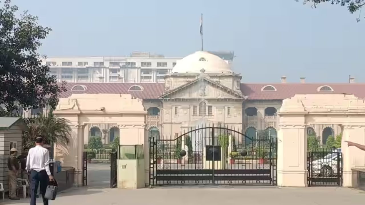 ‘पत्नी मद्यपान करते म्हणजे क्रूरता नाही’, घटस्फोट प्रकरणात उच्च न्यायालयाचं वक्तव्य High Court