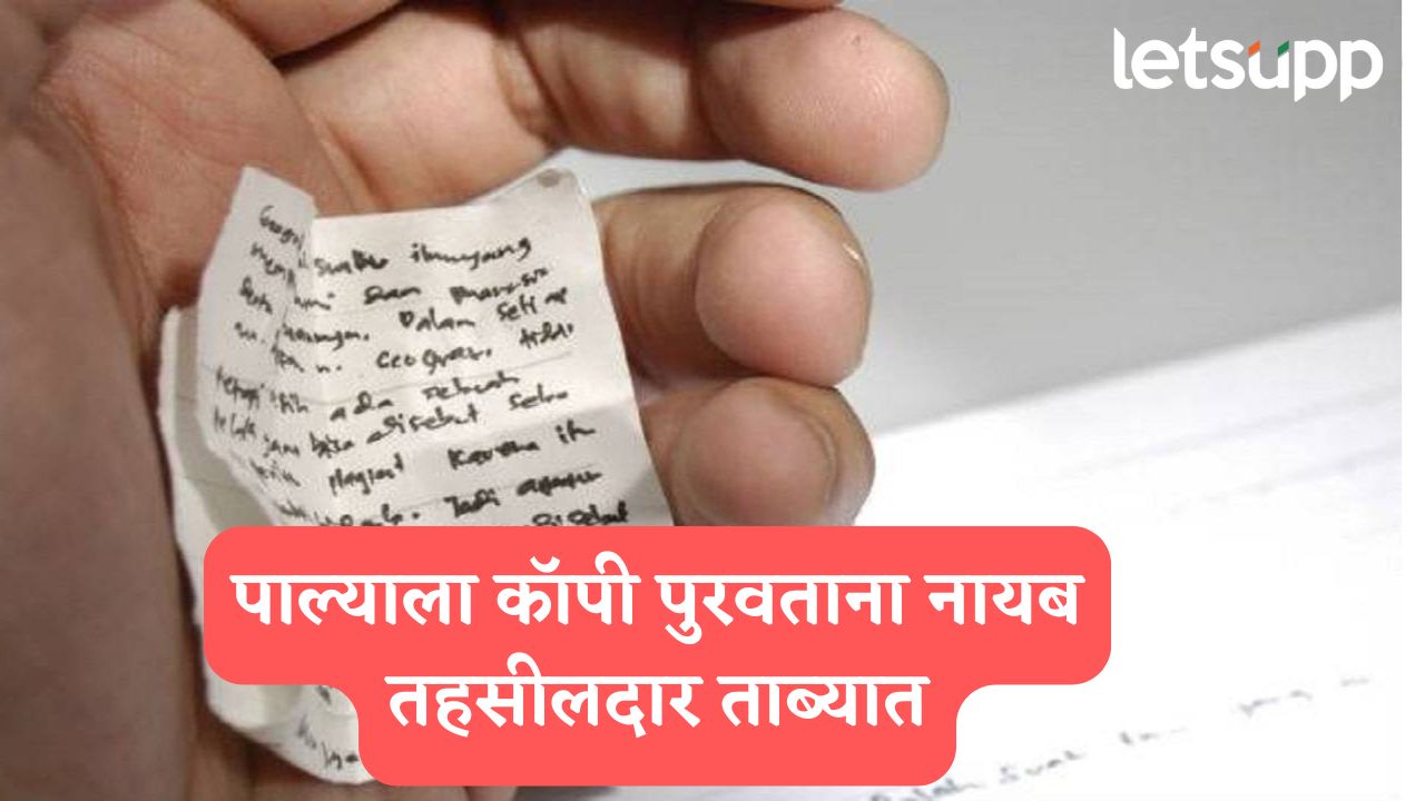 कुंपणच शेत खातंय! पाथर्डीत नायब तहसीलदारच पुरवतोय मुलाला कॉपी…