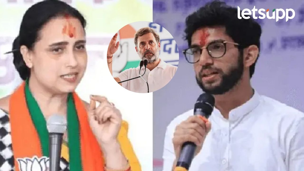 आदित्य ठाकरेंची दिल्लीत हुजरेगिरी, आजोबांचं तरी स्मरण ठेवा; चित्रा वाघ यांचा हल्लाबोल Chitra Wagh