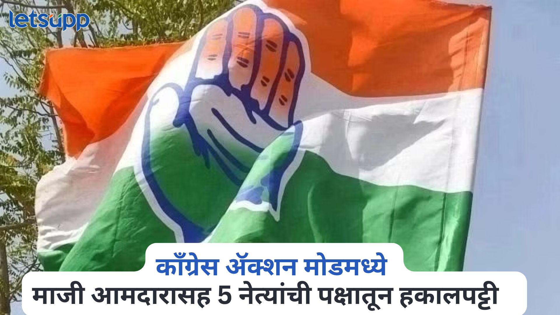 निवडणुकीनंतर काँग्रेस ॲक्शन मोडमध्ये, माजी आमदारासह 5 नेत्यांची पक्षातून हकालपट्टी Haryana Congress