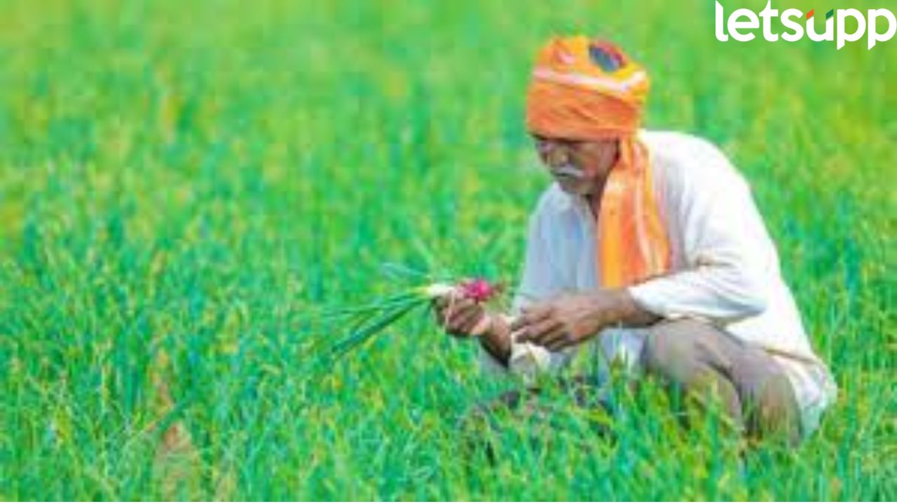 शेतकऱ्यांसाठी खुशखबर! PM किसान योजनेचा हप्ता ‘या’ तारखेला होणार खात्यात जमा PM Kisan