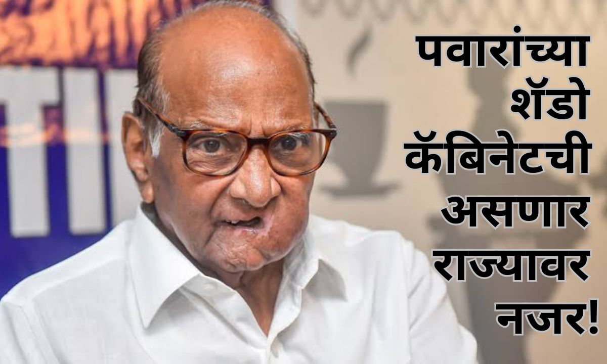 पवारांची शॅडो कॅबिनेट ठेवणार राज्यावर नजर; सरकारच्या 100 दिवसांच्या कामाचा सादर करणार अहवाल