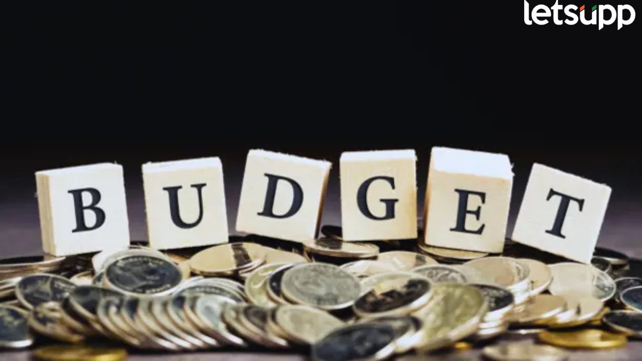 Union Budget 2025 : अर्थसंकल्पानंतर काय महाग, काय स्वस्त…संपूर्ण यादीच समोर Budget 2025 (2)