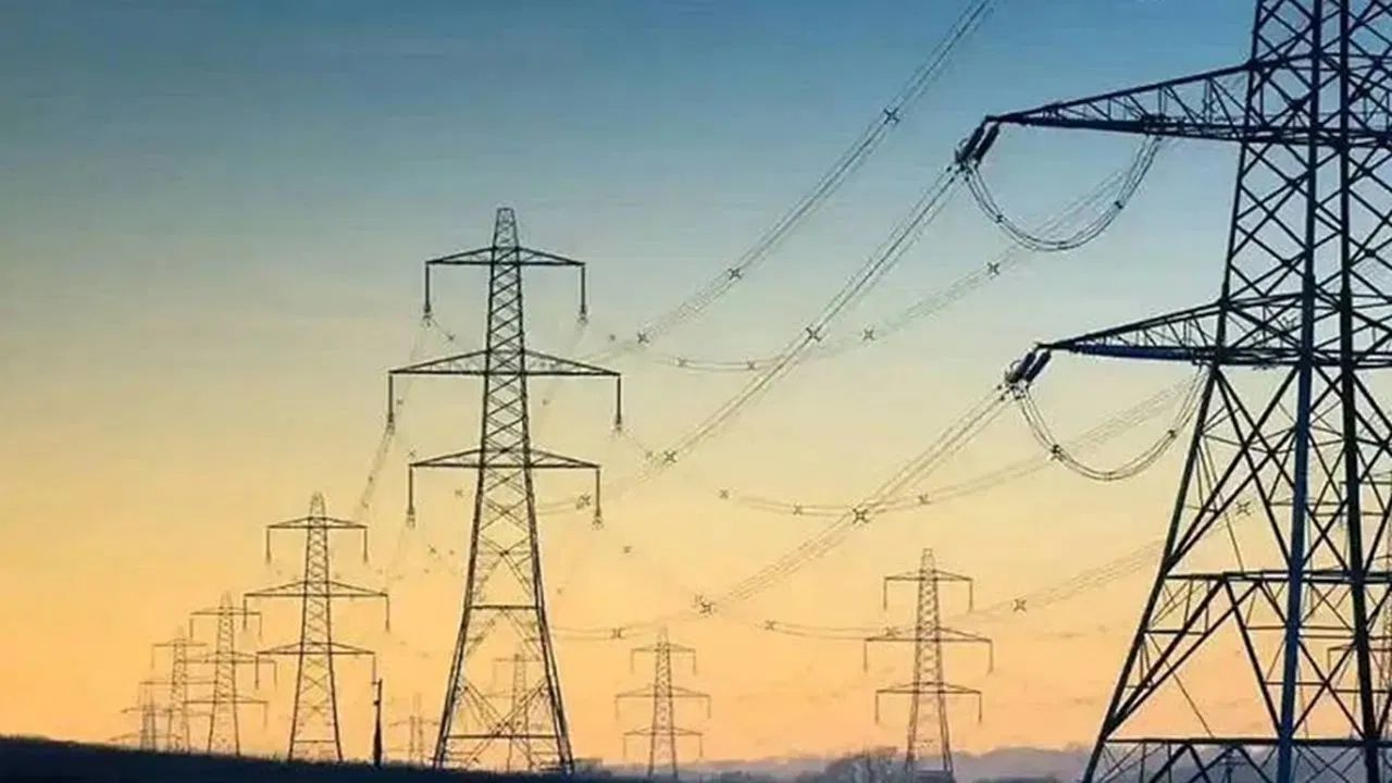 काय सांगता! एका माकडाने अख्खा देश टाकला अंधारात; श्रीलंकेतील ब्लॅकआऊटचं सत्य काय? Power Cut In Sri Lanka
