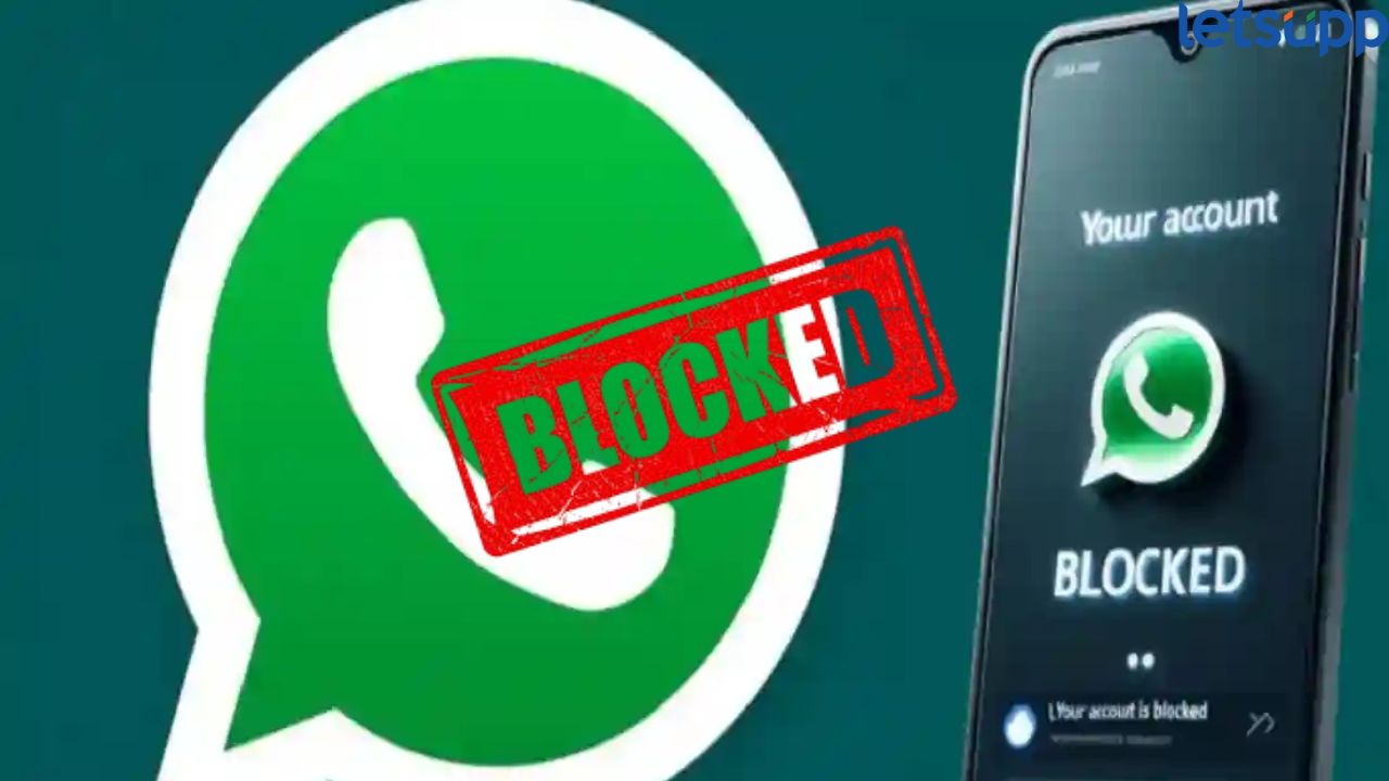 अर्रर्र! 77 हजार व्हॉट्सॲप क्रमांक ब्लॉक, ‘स्काइप’च्या हजारो अकाउंटवर कारवाई, प्रकरण नेमकं काय?