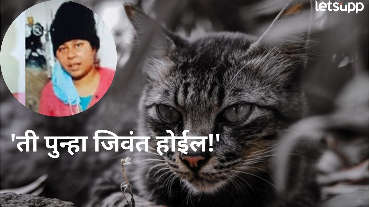 ‘ती पुन्हा जिवंत होईल!’ पाळीव मांजर मेली, महिलेनं 2 दिवसानंतर उचललं टोकाचं पाऊल Bihar (2)
