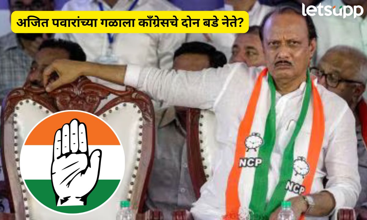 महायुतीमध्ये इनकमिंग सुरूच! आता अजित पवारांच्या राष्ट्रवादीच्या गळाला लागले कॉंग्रेसचे दोन बडे नेते? Letsupp (9)
