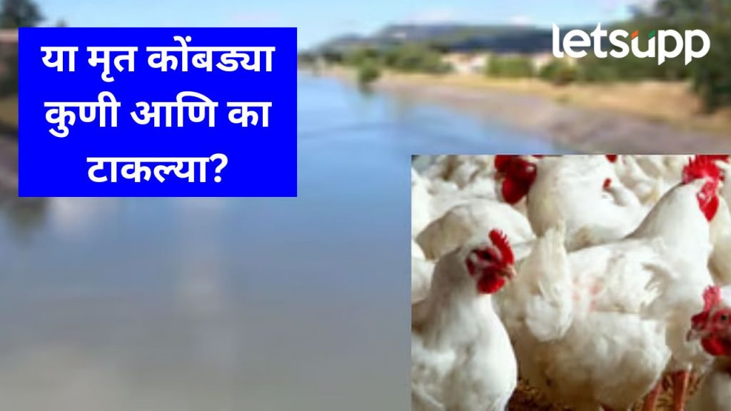 बीडच्या खोक्या भाईला हरीण अन् मोरांच्या शिकारीचा नाद, विरोध करणाऱ्याला बेदम मारलं, जबडा मोडला