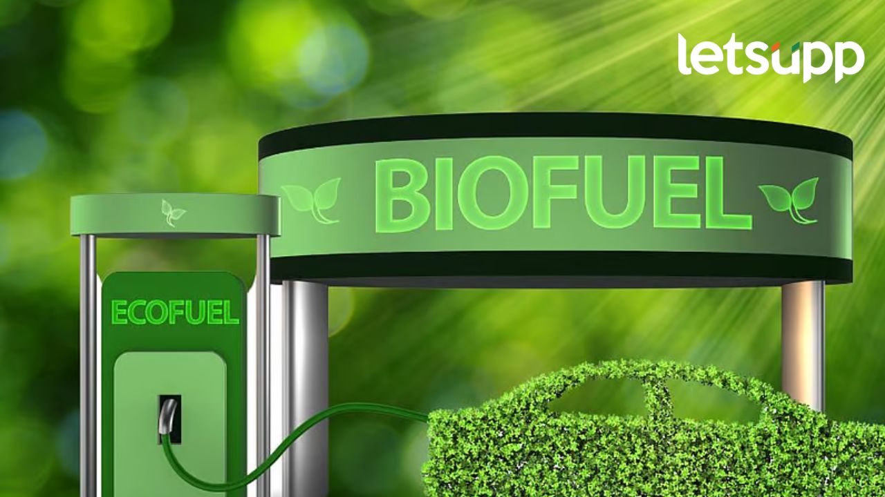 Biofuel Circle : बायोफ्युएल सर्कल जैवइंधन क्षेत्रातील डिजिटल प्लॅटफॉर्म, काय आहे प्रयोग? Biofuel Circle : बायोफ्युएल सर्कल जैवइंधन क्षेत्रातील डिजिटल प्लॅटफॉर्म, काय आहे प्रयोग?
