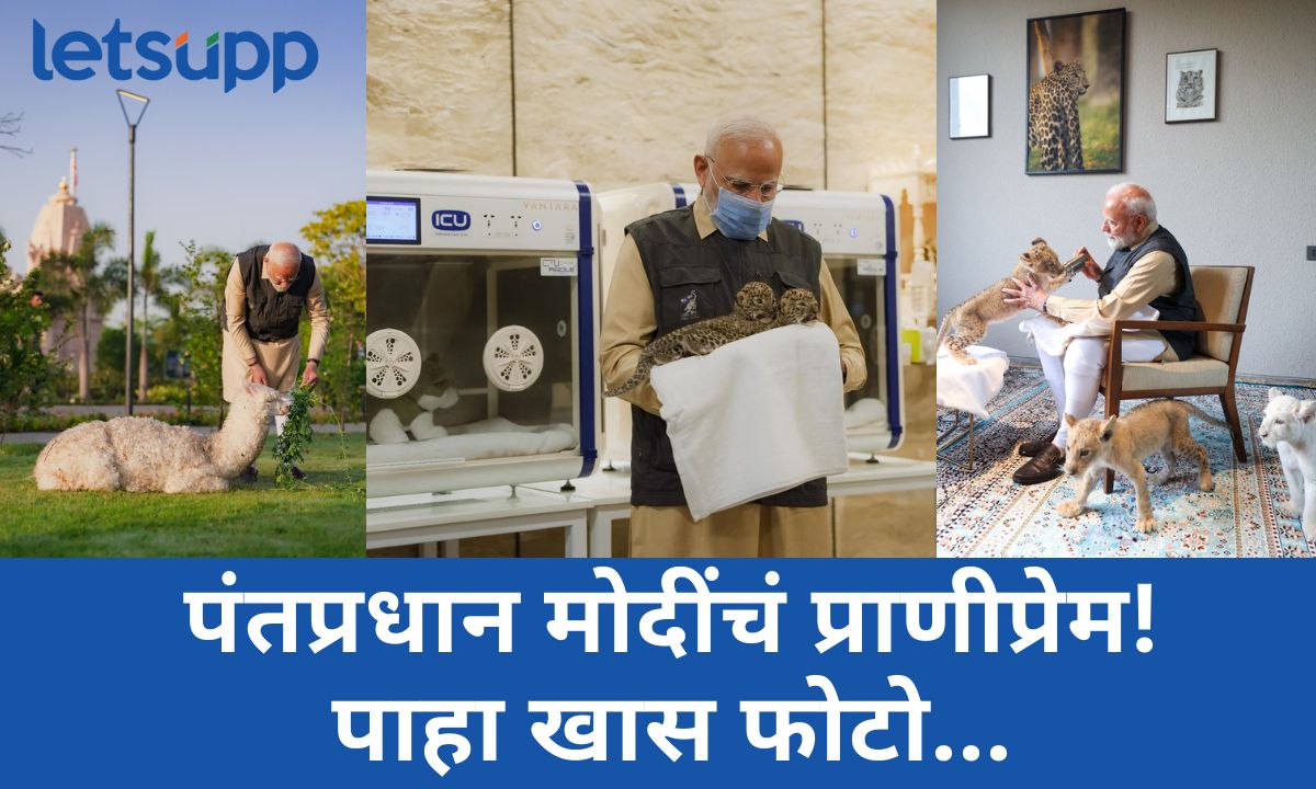 Photos : पंतप्रधान मोदींचा वनतारामध्ये फेरफटका! बछड्यांना अंगा-खांद्यावर खेळवत दूध ही पाजलं PM MODI