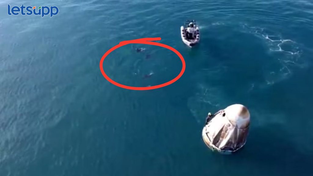 Sunita Williams Photo