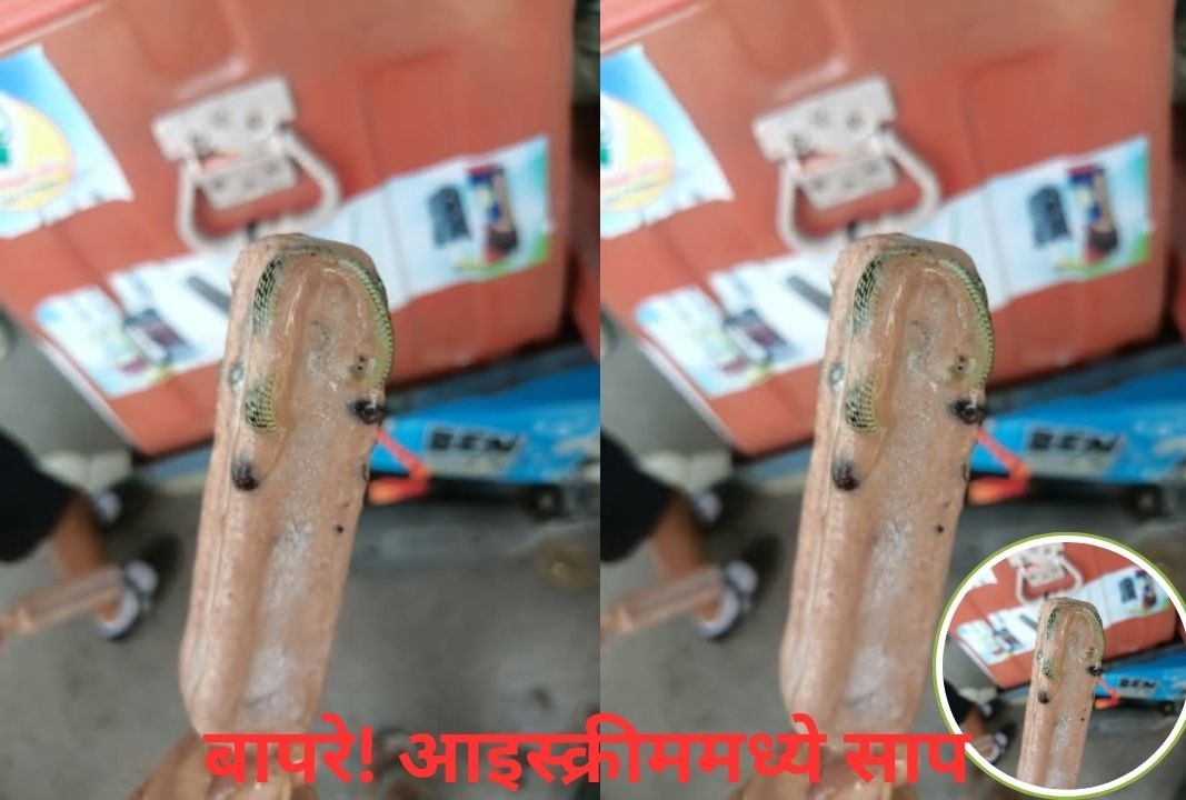 बापरे बाप आइस्क्रीममध्ये साप! लोकांंच्या जीवाशीच खेळ; फोटो तुफान व्हायरल Ice Cream