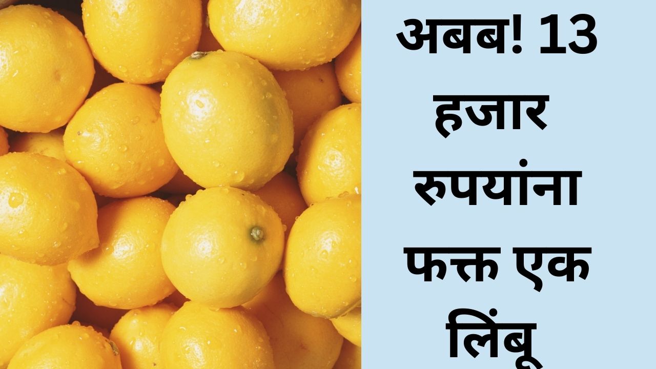 अबब! 13 हजार रुपयांत फक्त एक लिंबू; खरेदीसाठीही गर्दीच गर्दी, काय घडलं? Lemon News