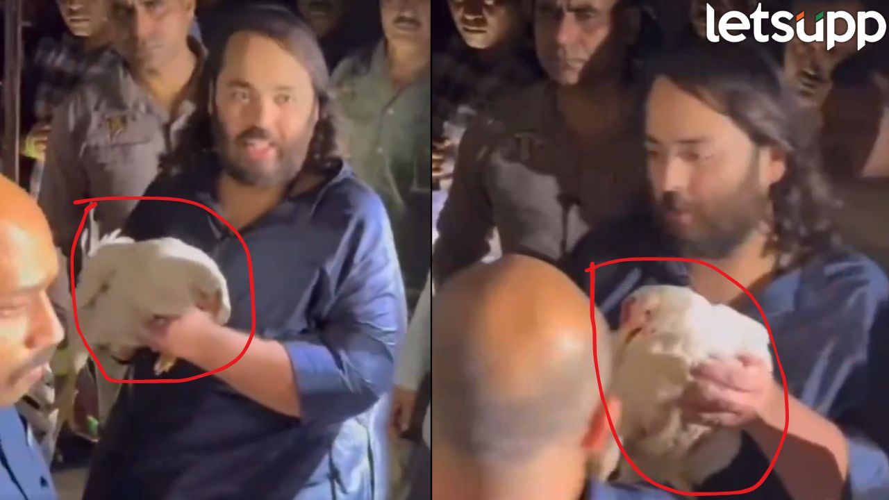 Video : ‘दुप्पट किंमत द्या…’ अनंत अंबानी यांनी खरेदी केल्या 250 कोंबड्या, कारण जाणून घ्या… Aanant Ambani