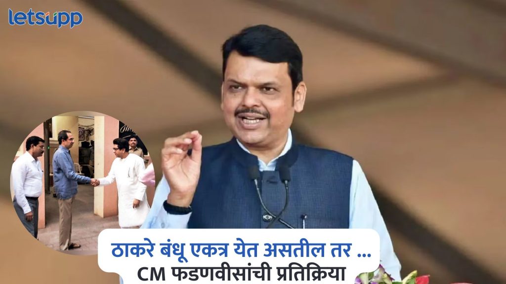 Devendra Fadnavis On Raj Thackeray And Uddhav Thackeray