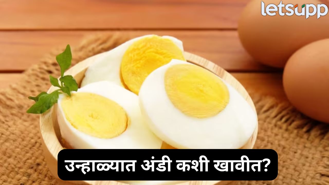 उन्हाळ्यात अंडी खाणे धोकादायक? तज्ज्ञ काय सांगतात… Eggs
