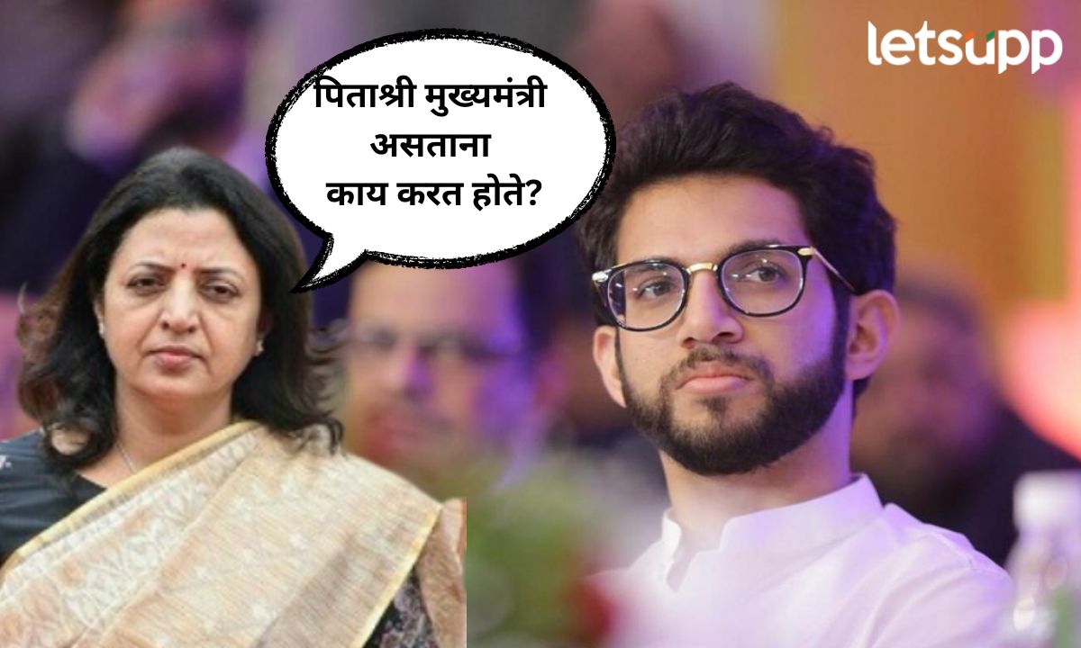 पिताश्री मुख्यमंत्री असताना काय करत होतात? एसटी कर्मचाऱ्यांच्या पगारावरून टीका करणाऱ्या आदित्य ठाकरेंना कायंदेंचा सवाल Manisha Kayande