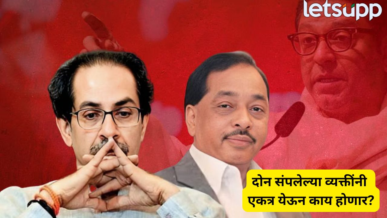 राज ठाकरे अन् उद्धव ठाकरे…दोघंही संपलेले, नारायण राणे यांनी केलं मोठं विधान