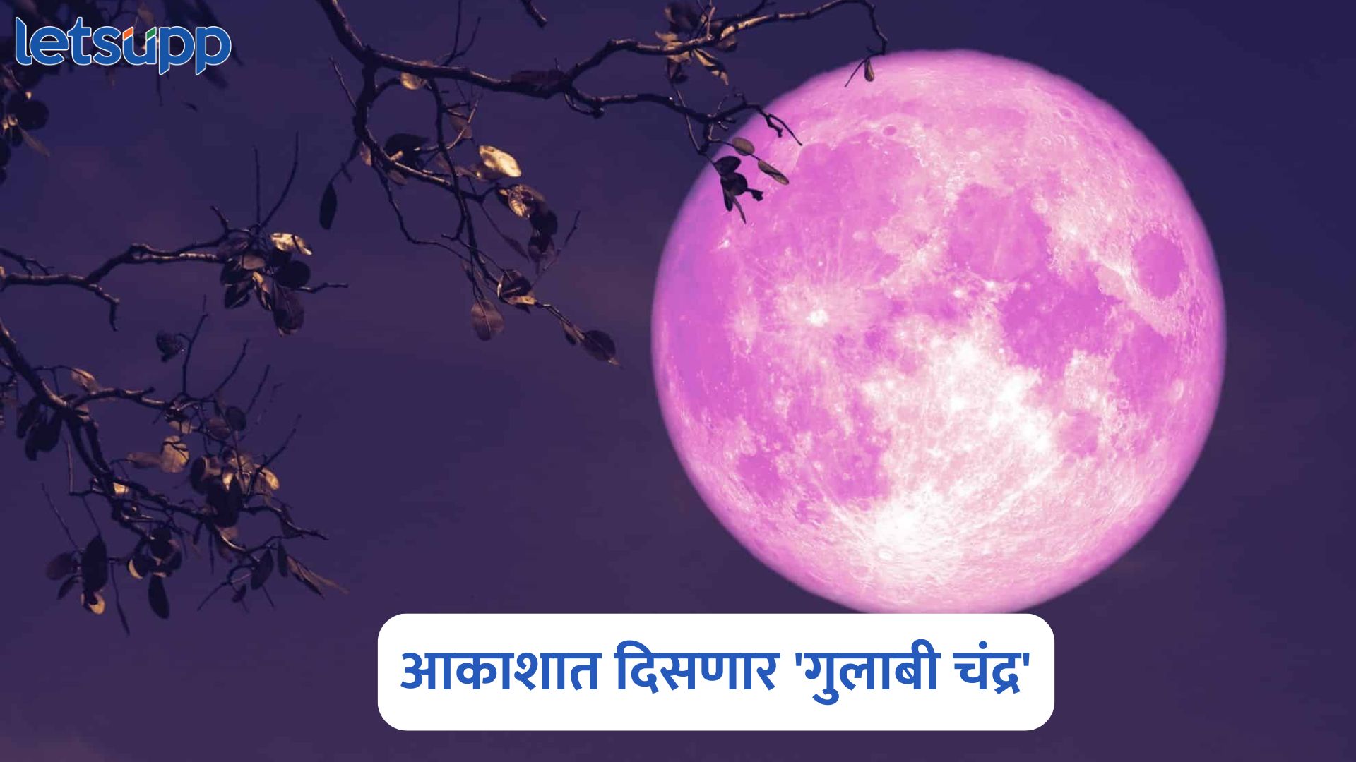 13 एप्रिल रोजी आकाशात दिसणार ‘गुलाबी चंद्र’; जाणून घ्या कुठे आणि कसा पाहता येणार? Pink Moon 2025