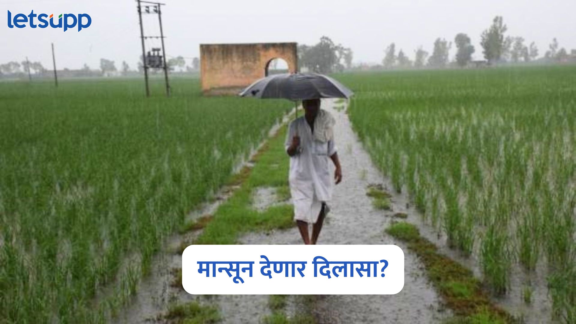 शेतकऱ्यांनो, राज्यात संथ गतीनं मान्सूनची सुरुवात पण…, स्कायमेटचा पहिला अंदाज Skymet On Monsoon 2025