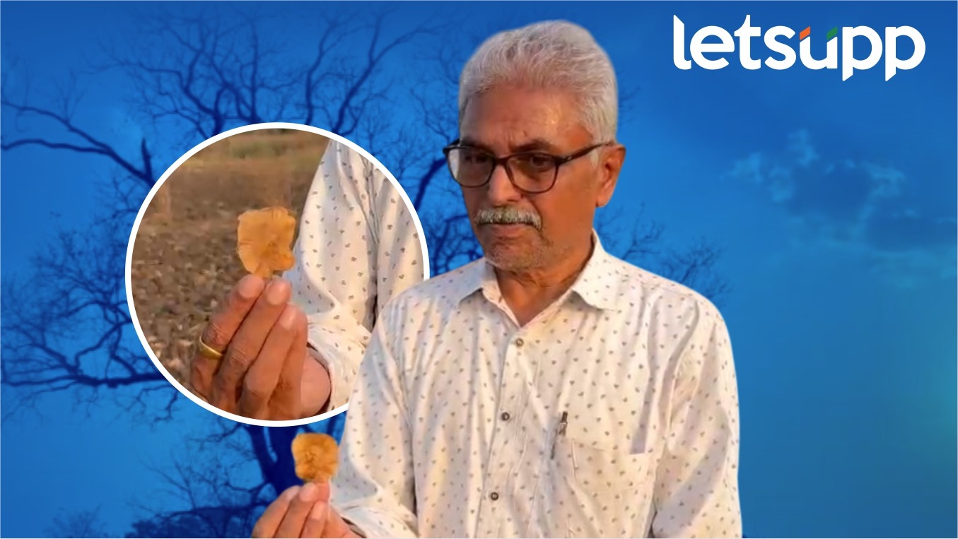 वडीलोपार्जित रक्तचंदनची अचानक पटली ओळख; शेतकरी कसा बनला करोडपती? WhatsApp Image 2025 04 12 At 8.56.16 PM