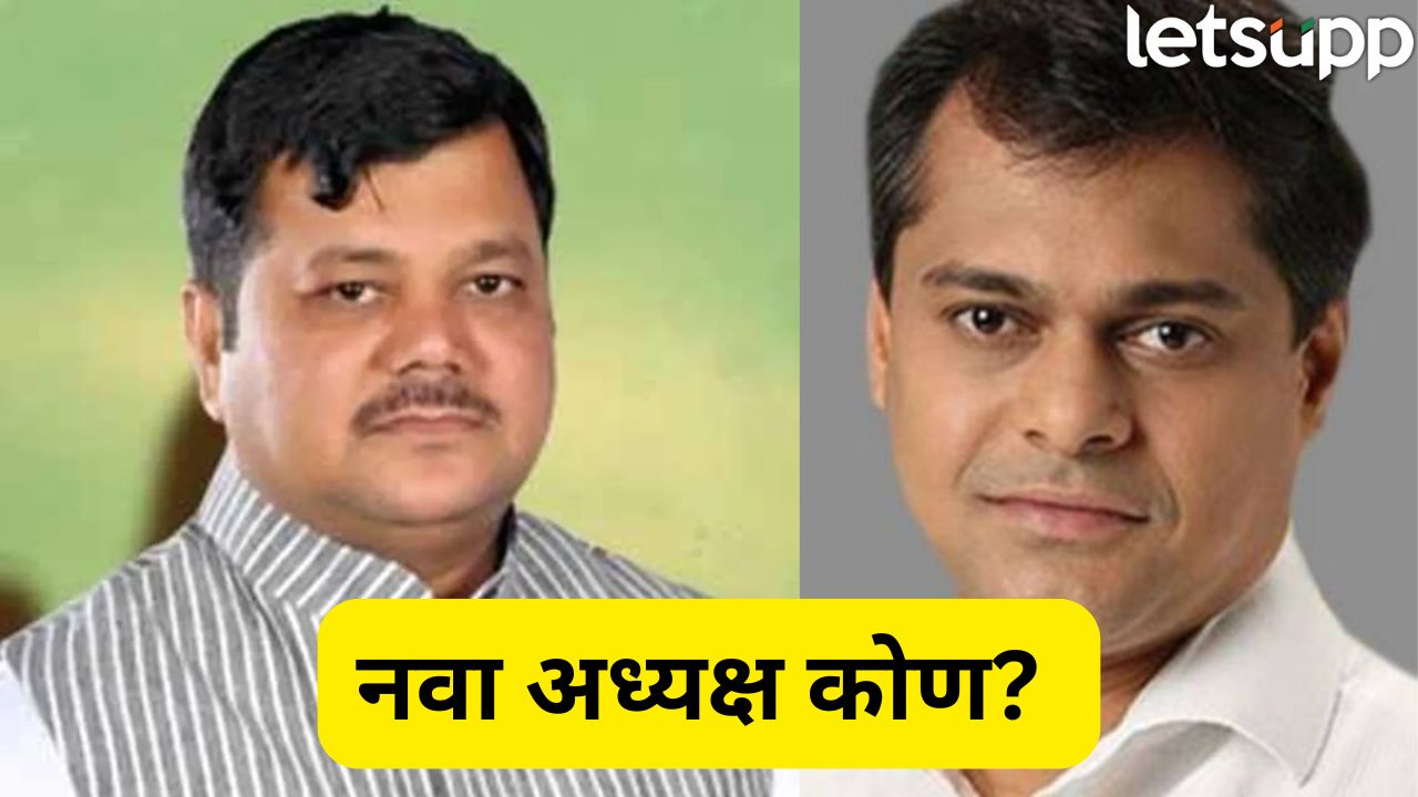 भाजप भाकरी फिरवणार! शेलारांच्या जागी मुंबई अध्यक्षपदासाठी 2 बड्या नेत्यांची नावं, कोणाची वर्णी? Bjp (3)