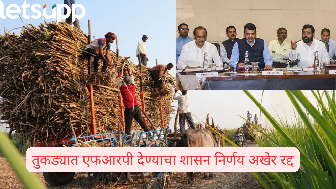 एफआरपीचा मुद्दा पुन्हा गाजणार; उच्च न्यायालयाच्या निर्णयाविरोधात सरकार सर्वोच्च न्यायालयात जाणार? Frp