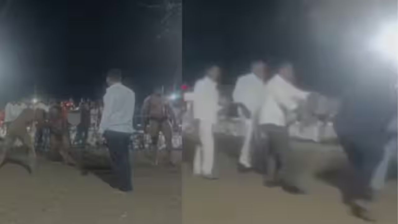 पुण्यातील कुख्यात गुंड निलेश घायवळवर हल्ला, पैलवान अंगावर धावून गेला अन्.. Nilesh Ghaywal
