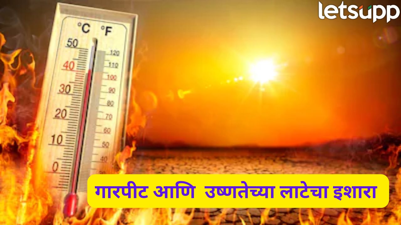 काळजी घ्या! उन्हाचा चटका वाढला, तापमान चाळीशीपार…पुढील 4 दिवस महत्वाचे ैweather