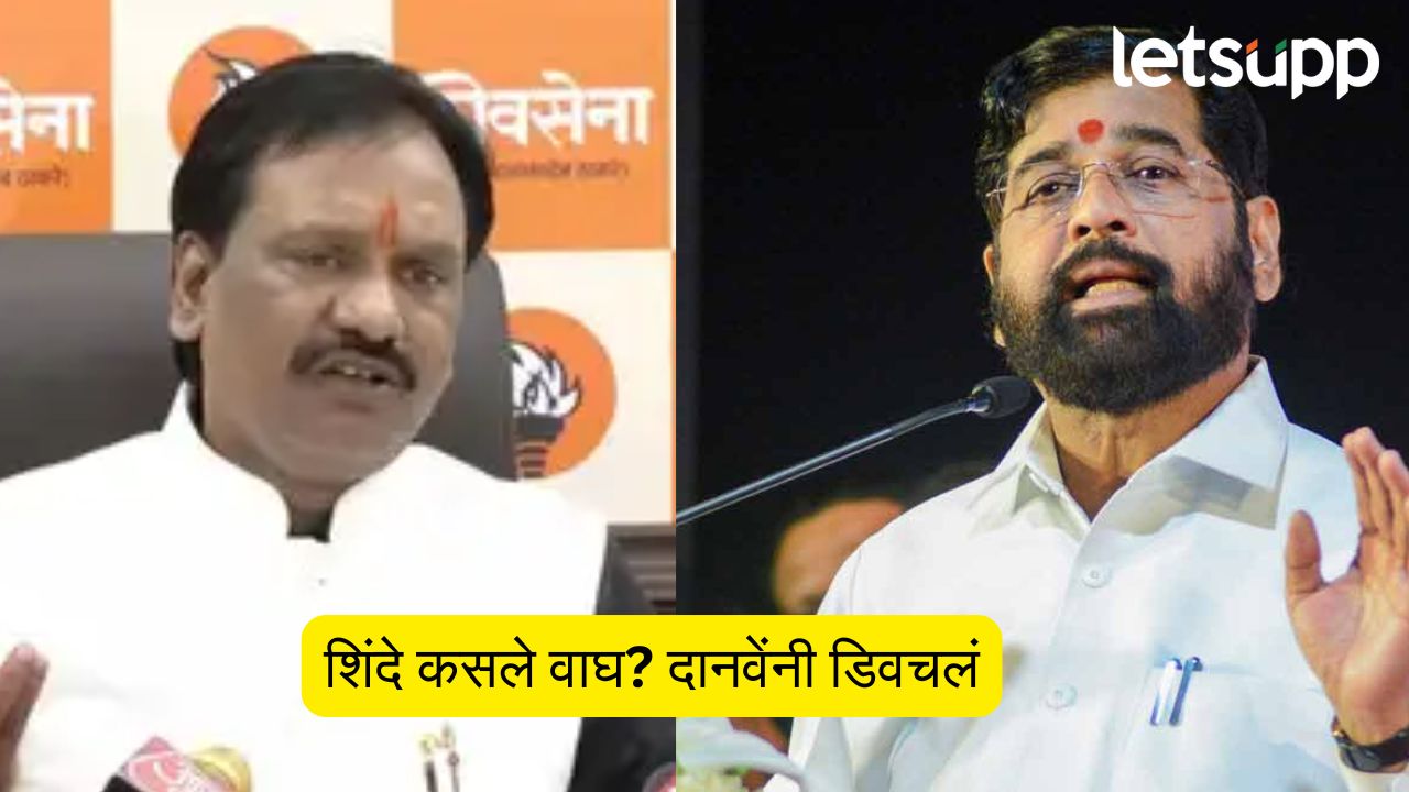 शिंदे कसले वाघ? काही झालं की ते गावी पळून जातात…; अंबादास दानवेंनी डिवचलं Ambadas Danve