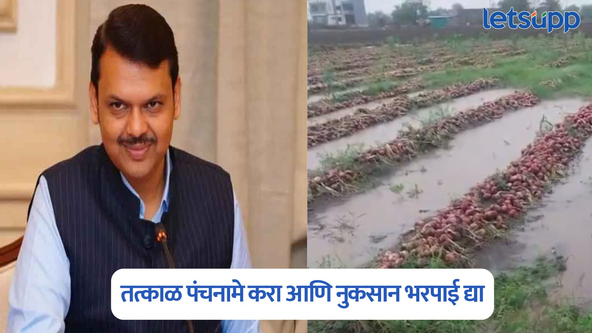 अतिवृष्टीमुळे उद्भवलेल्या परिस्थितीचा मंत्रिमंडळ बैठकीत आढावा; नुकसानीचे पंचनामे तत्काळ करण्याचे निर्देश Devendra Fadnavis