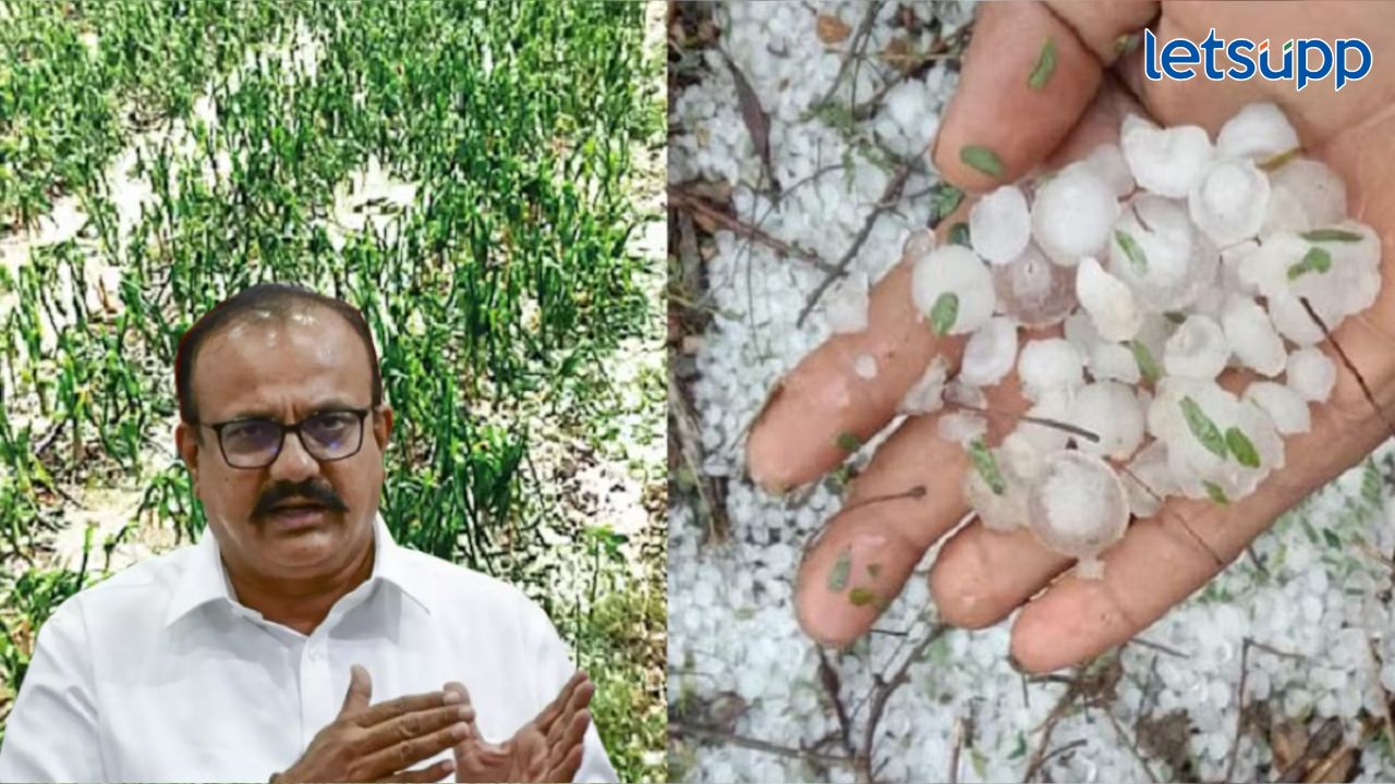 Harshwardhan Sapkal : ‘शेतकऱ्यांवर अस्मानी संकट अन् सुलतानी सरकार झोपलंय’ Harshwardhan Sapkal